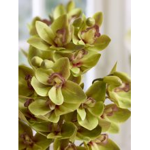 New artificial flowers_Sostrene Grene_Available from 31 July 2025 (13).jpg